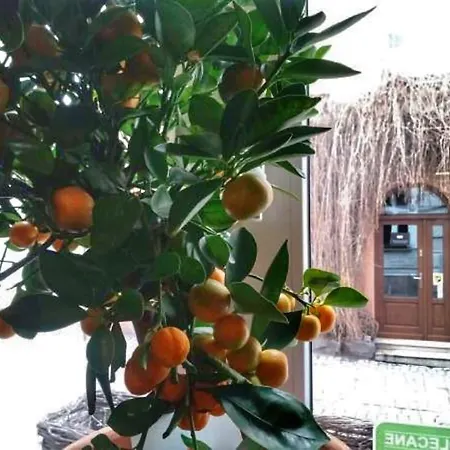 Shalom Kazimierz Apartahotel 3*
