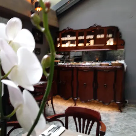 Shalom Kazimierz Lejlighedshotel