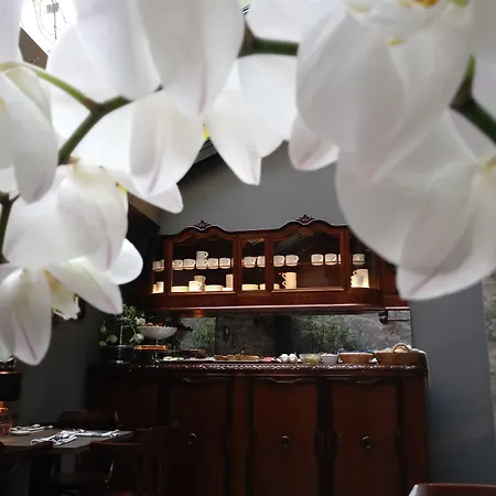 Apartahotel Shalom Kazimierz Cracovia