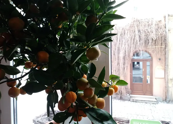 Shalom Kazimierz Aparthotel Cracovia