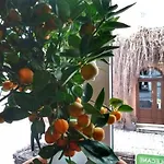 Shalom Kazimierz 3*
