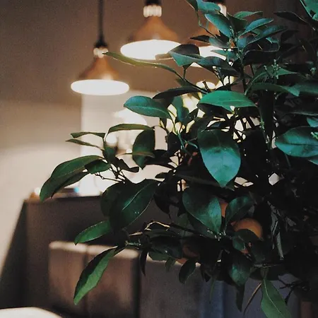 Shalom Kazimierz Kraków